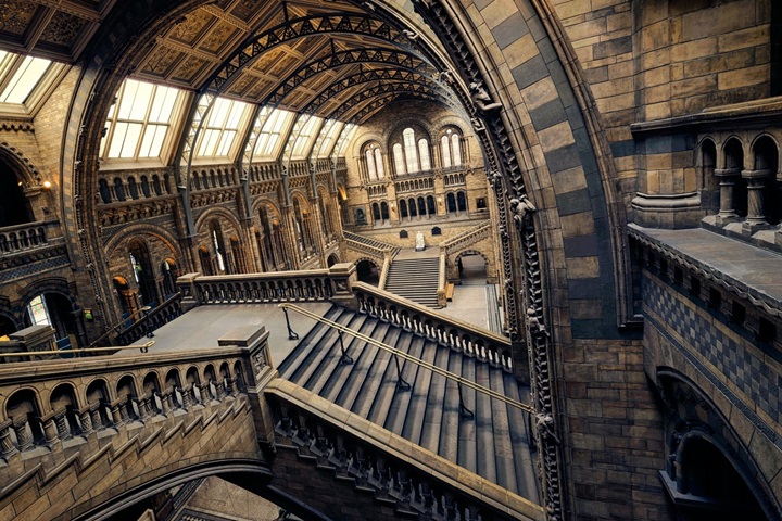 洗發(fā)水品牌排行榜前五，銳琛洗護(hù)品牌強(qiáng)韌發(fā)根受好評(píng)